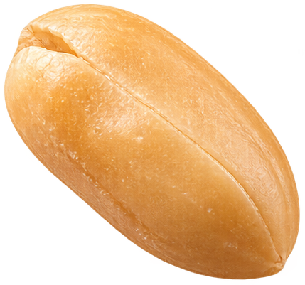 Cacahuate